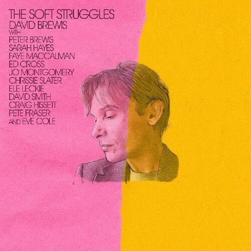 David Brewis - The Soft Struggles