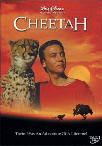 Cheetah