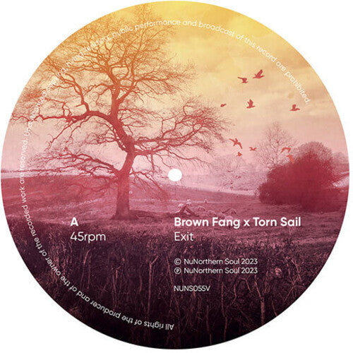 Brown Fang & Torn Sail - Network Remixes: Volume One Sampler (Various Artists)