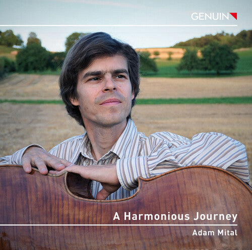 Adam Mital - A Harmonious Journey