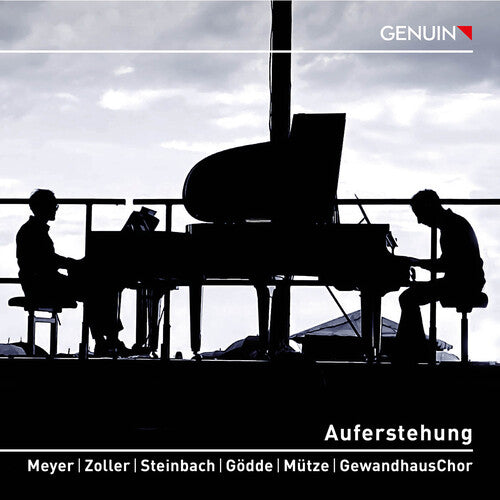 Mahler/ Meyer/ Zoller - Auferstehung