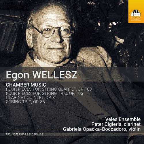 Veles Ensemble - Chamber Music
