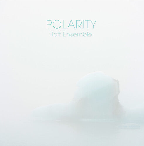 Hoff/ Hoff Ensemble - Polarity