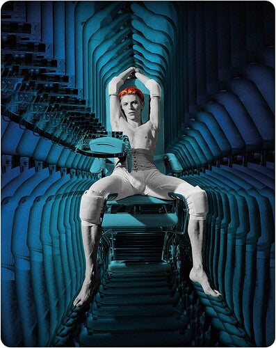 The Man Who Fell to Earth