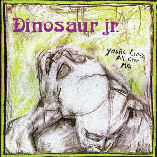 Dinosaur Jr - You're Living All Over Me