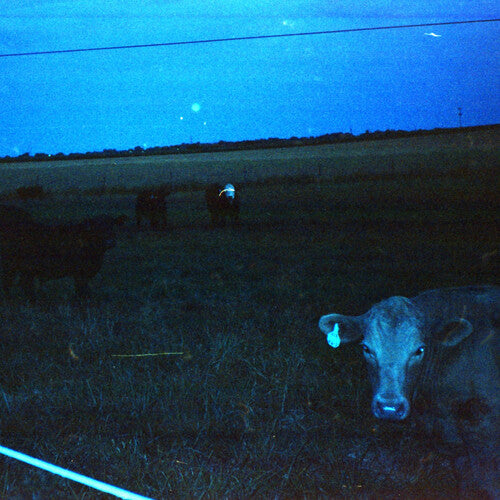 waveform* - Antarctica - Dark Blue