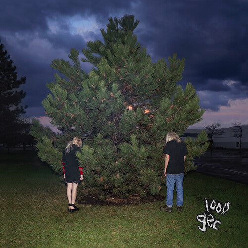 100 gecs - 1000 Gecs