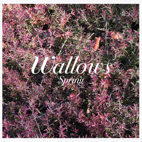 Wallows - Spring