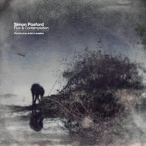 Simon Posford - Flux & Contemplation: Portrait Of An Artist In Isolation