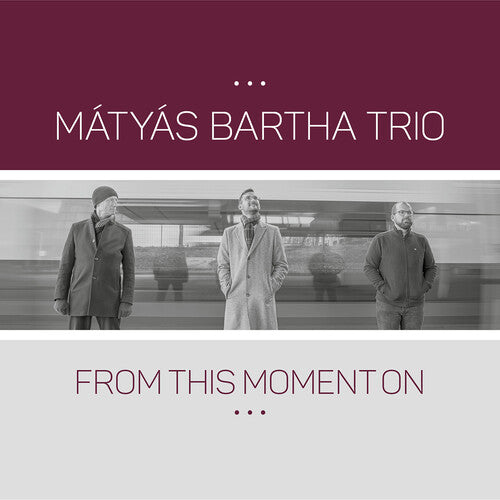Matyas Bartha - From This Moment On