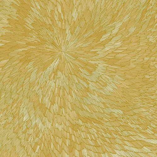 Pjev/ Kit Downes / Hayden Chisholm - Medna Roso