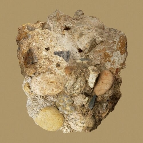 Car the Garden - Absence - incl. Booklet.