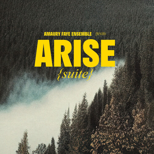 Amaury Ensemble Faye - Arise (suite)