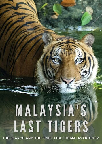 Malaysia's Last Tigers