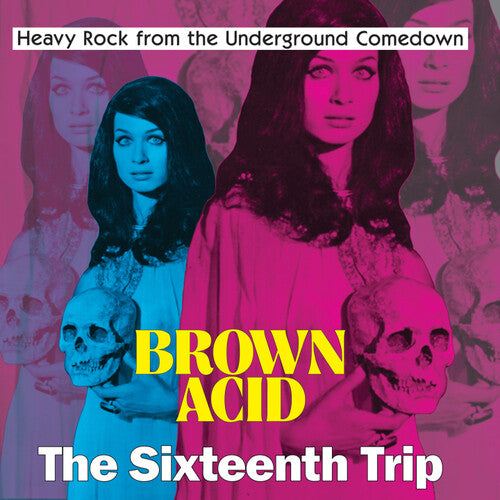 Various Artists - Brown Acid - The Sixteenth Trip (Various Artists)