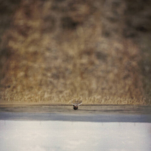 Jim O'Rourke - Hands That Bind (Original Soundtrack)