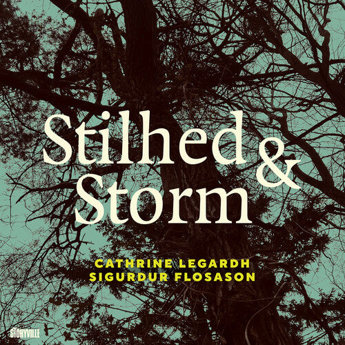 Sigurdur Flosason - Stilhed & Storm