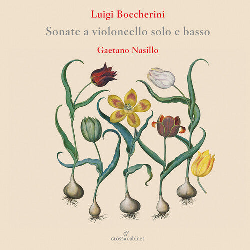 Boccherini/ Nasillo - Flute Concertos