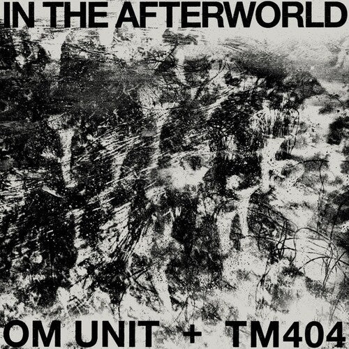 Om Unit/ Tm404 - In The Afterworld
