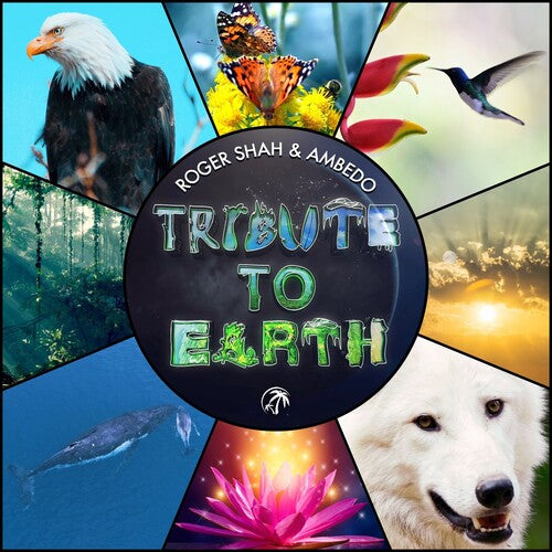 Roger Shah & Ambedo - Tribute To Earth