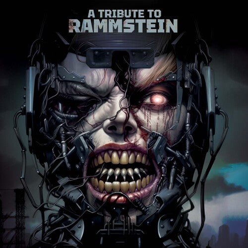 Tribute to Rammstein/ Various - A Tribute To Rammstein (Various Artists)