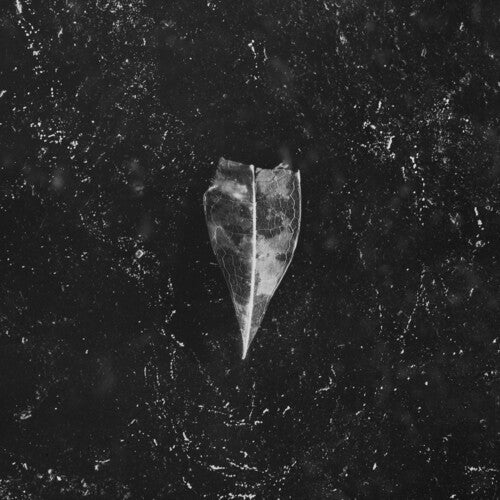 Bees Made Honey in the Vein Tree - Aion