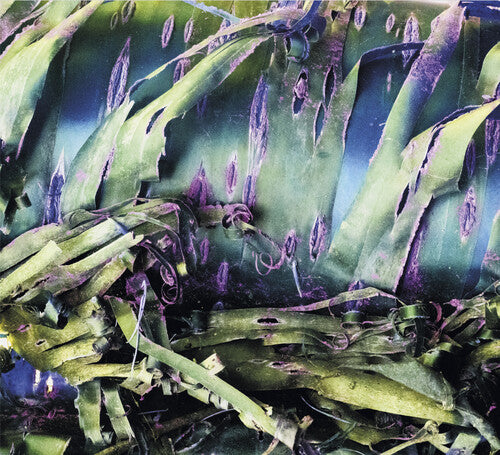 Polypores - Multizonal Mindscramble