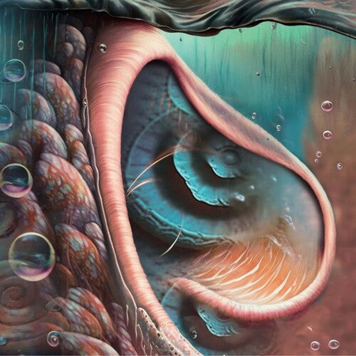 Meddle Reimagined: A Tribute to Pink Floyd/ Var - Meddle Reimagined - A Tribute To Pink Floyd (Various Artists)