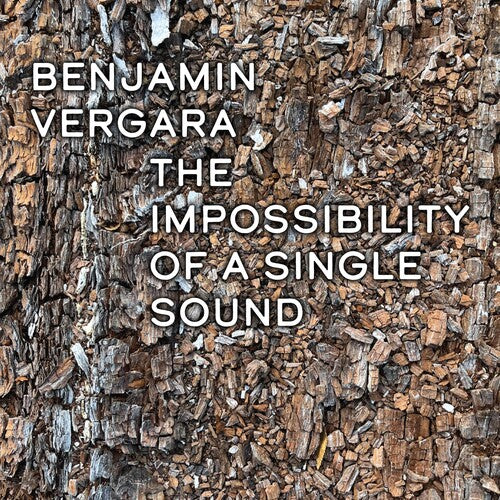Benjamin Vergara - The Impossibilty Of A Single Sound