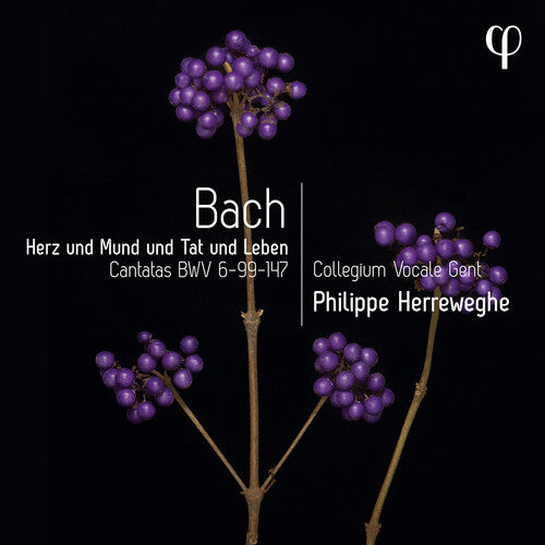 J.S. Bach / Herreweghe - Erz Und Mund Und Tat Und Leben - Cantatas, BWV