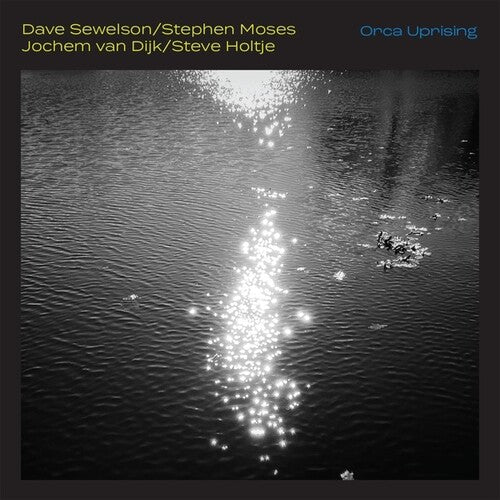 Dave Sewelson / Stephen Moses / Jochem Dijk - Orca Uprising