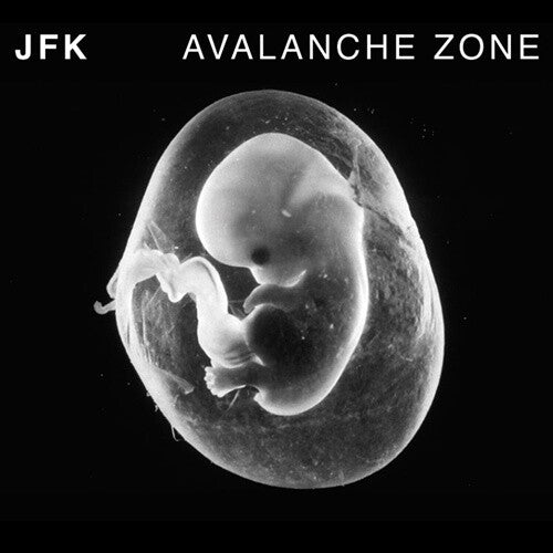 Jfk - Avalanche Zone