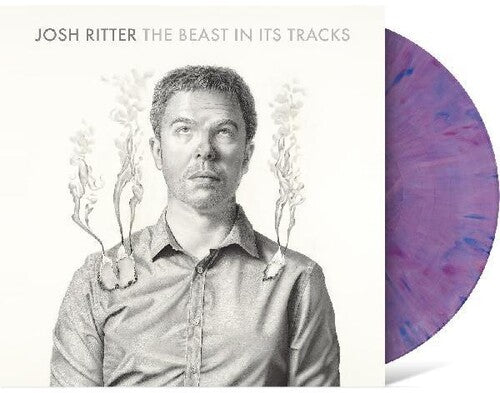 Josh Ritter - The Beast in Its Tracks