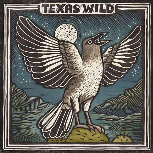 Texas Wild/ Various - Texas Wild (Various Artists)