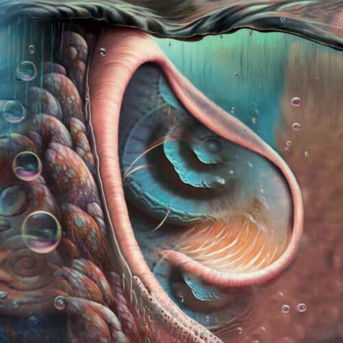 Various Artists - Meddle Reimagined: A Tribute To Pink Floyd
