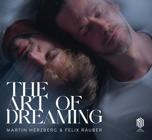 Martin Herzberg - Art of Dreaming