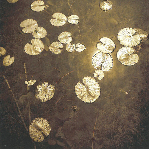 Northwoods Improvisers - Fanfares