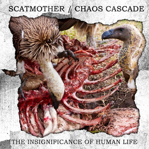 Scatmother & Chaos Cascade - The Insignificance Of Human Life