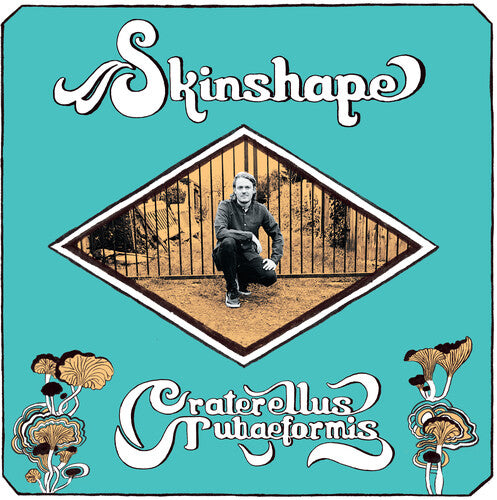 Skinshape - Craterellus Tubaeformis