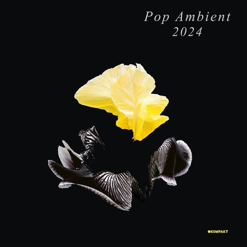 Pop Ambient 2024/ Various - Pop Ambient 2024