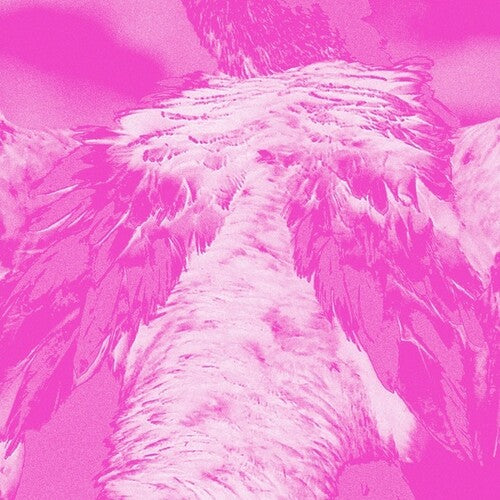 Kate Carr - A field guide to phantasmic birds