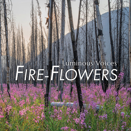 Brahms/ Wadsworth/ Luminous Voices - Fire-Flowers