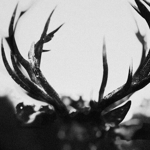 Ihsahn - IHSAHN - Black Yolk