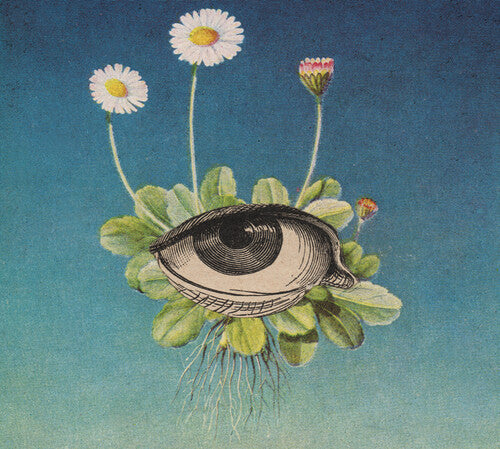 Ojerum - The Limited Circle Is Pure