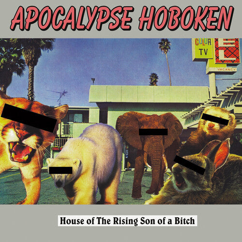 Apocalypse Hoboken - House Of The Rising Son Of A Bitch