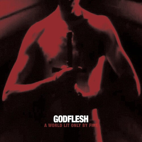Godflesh - A World Only Lit By Fire
