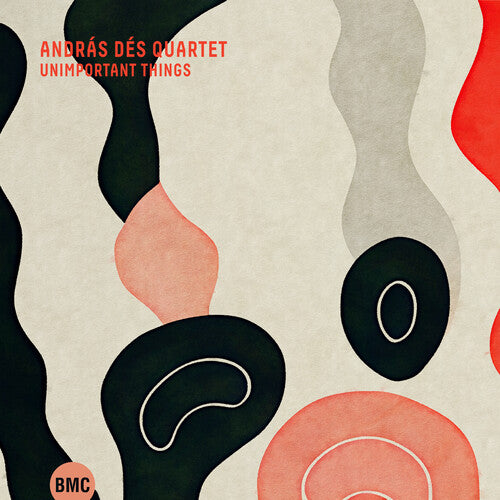 Andras Des - Unimportant Things