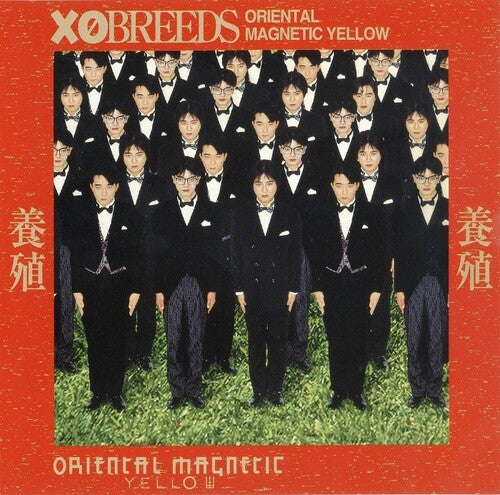 Oriental Magnetic Yellow - Youshoku X0BREEDS