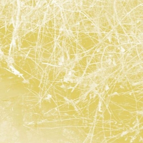 Celer - Cursory Asperses