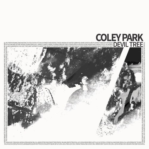 Coley Park - Devil Tree